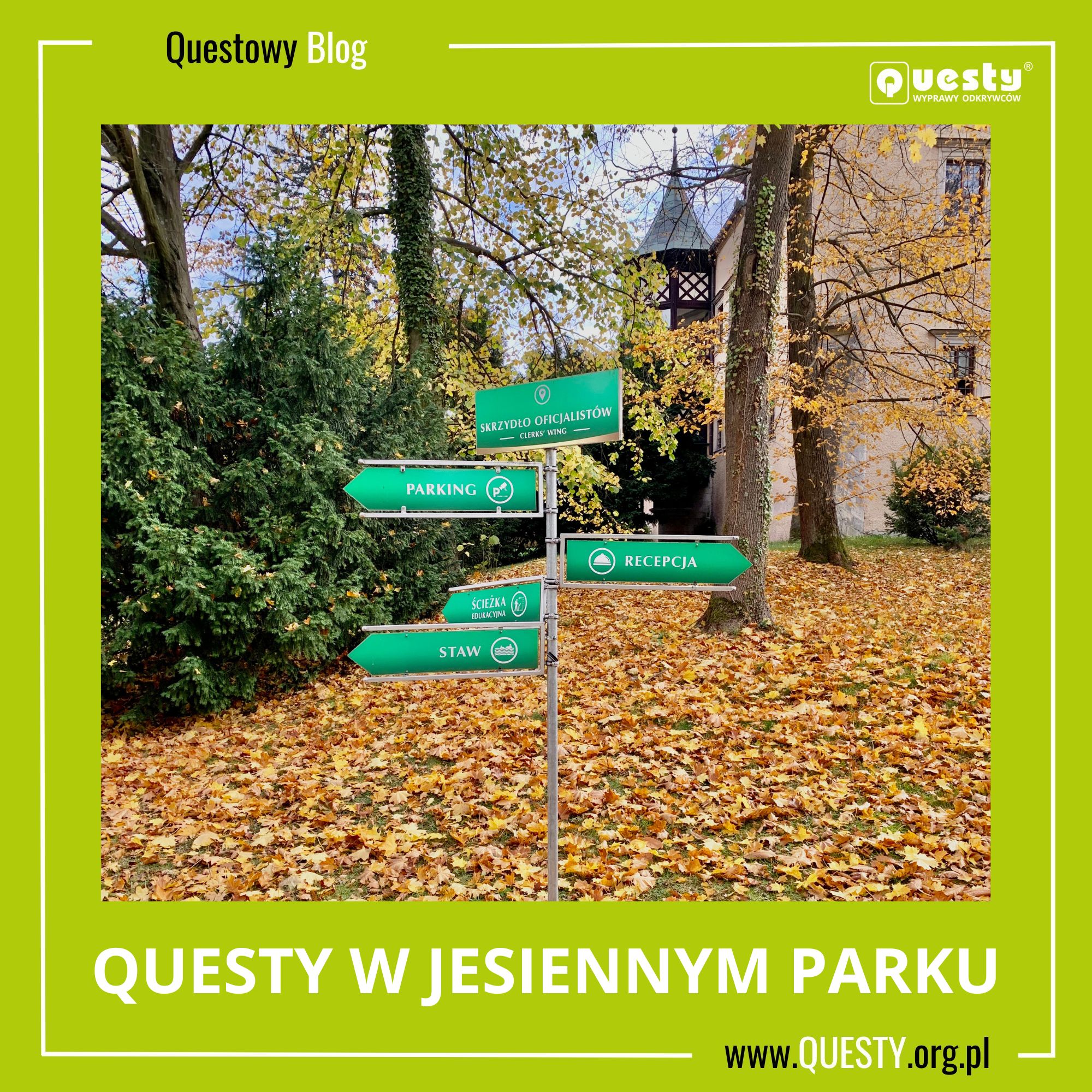 Questy w jesiennym parku