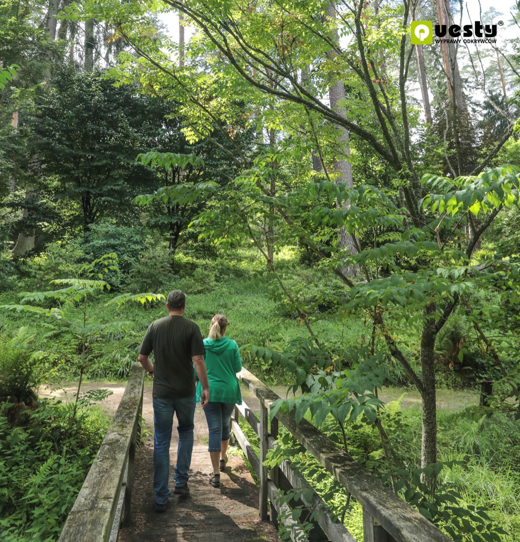 Powstanie quest w Leśnym Arboretum Warmii i Mazur