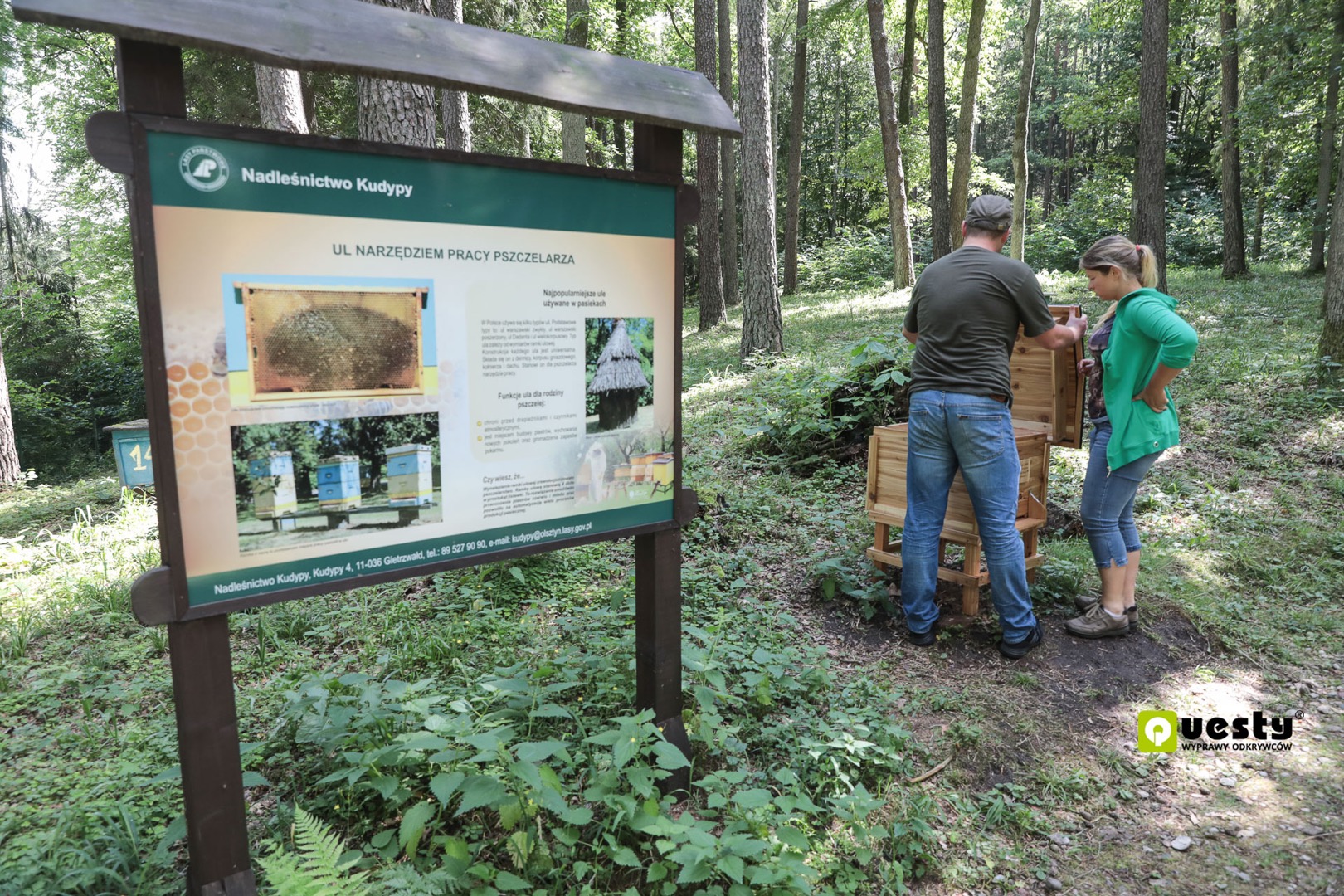 Powstanie quest w Leśnym Arboretum Warmii i Mazur