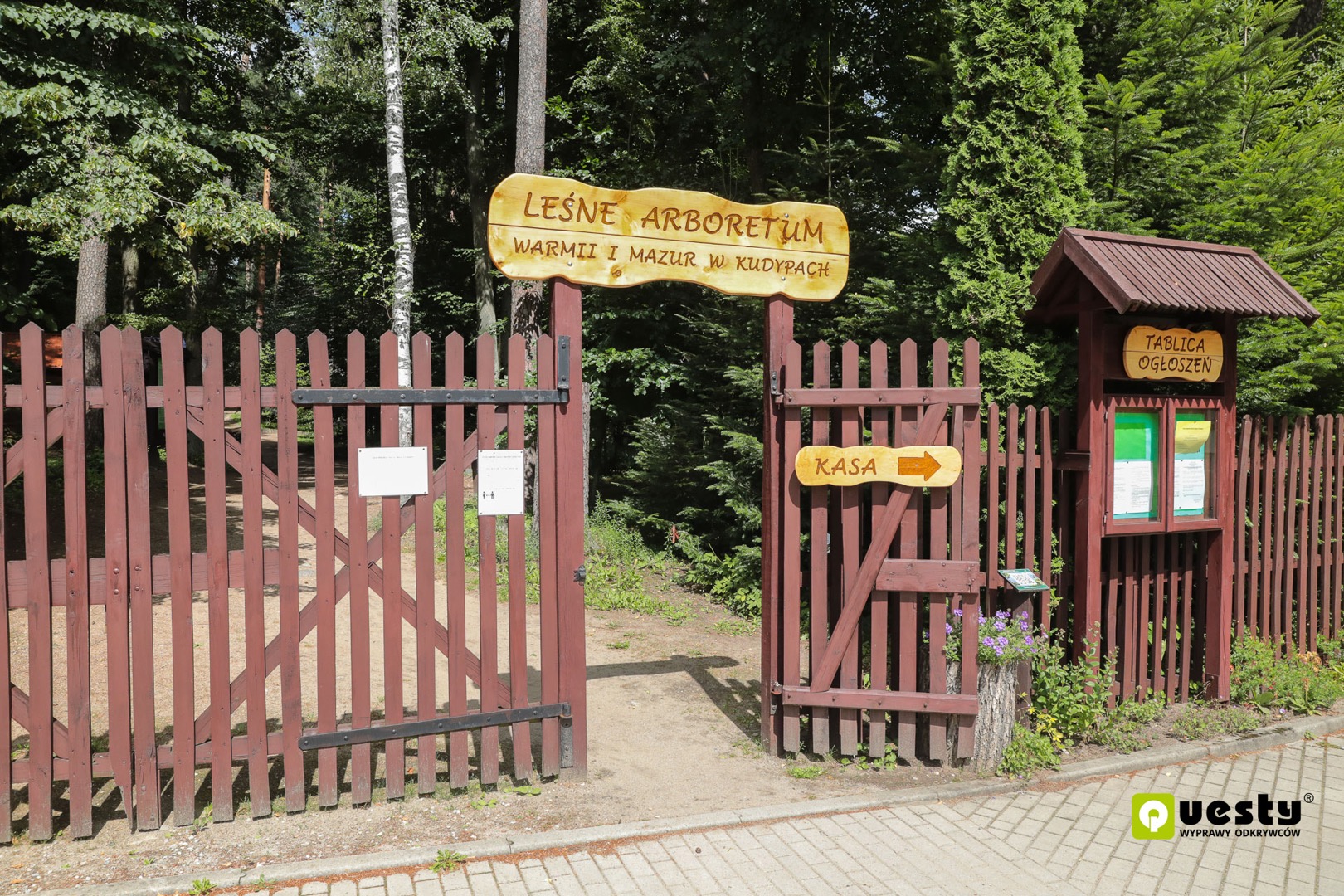 Powstanie quest w Leśnym Arboretum Warmii i Mazur