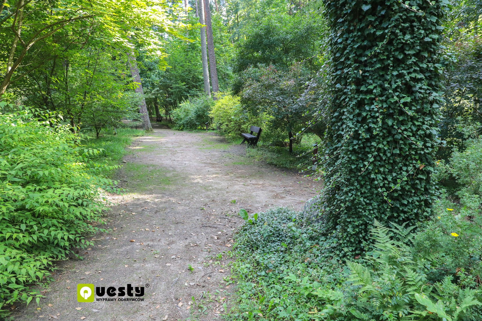 Powstanie quest w Leśnym Arboretum Warmii i Mazur