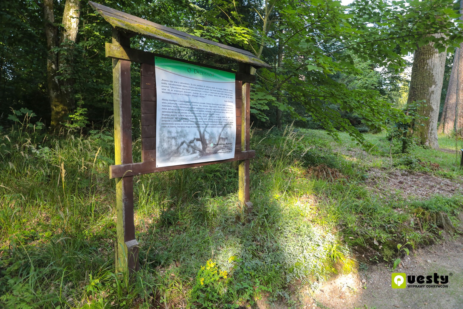 Powstanie quest w Leśnym Arboretum Warmii i Mazur