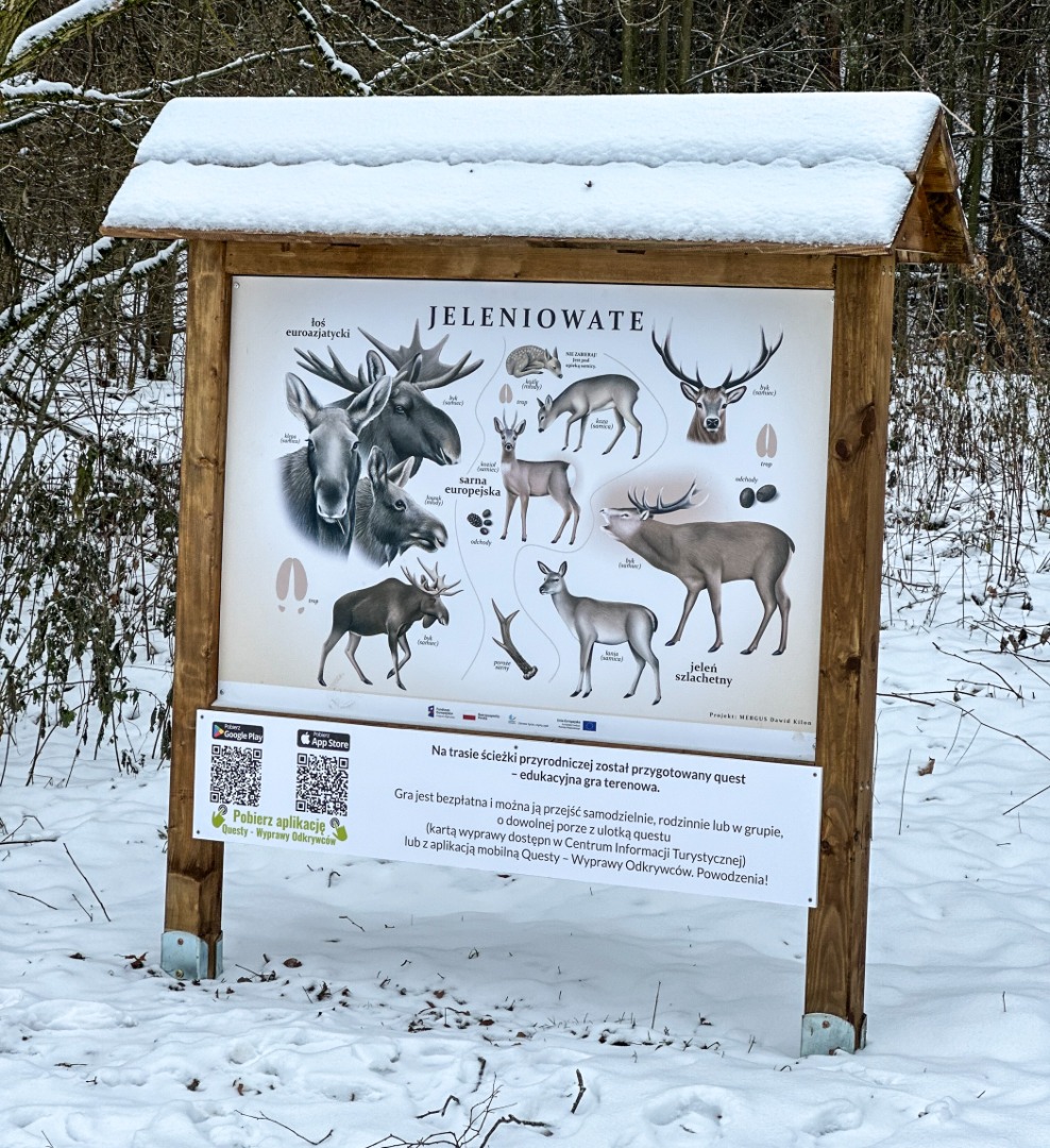 Inauguracja questu na zimowym pikniku w Olecku