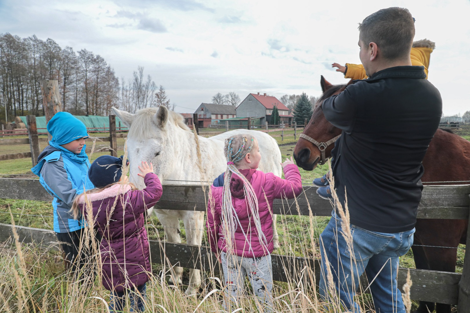 Rozpoczęły się prace nad  questem o koniach w Jaroszówce (dolnośląskie)